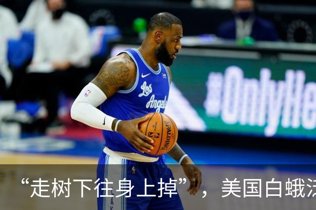 “走树下往身上掉”，美国白蛾泛滥，北京野生动物园办抓“毛毛虫”大赛，3天抓了37斤，4000条只能排第二，装满虫子的塑料盒堆成“小山”