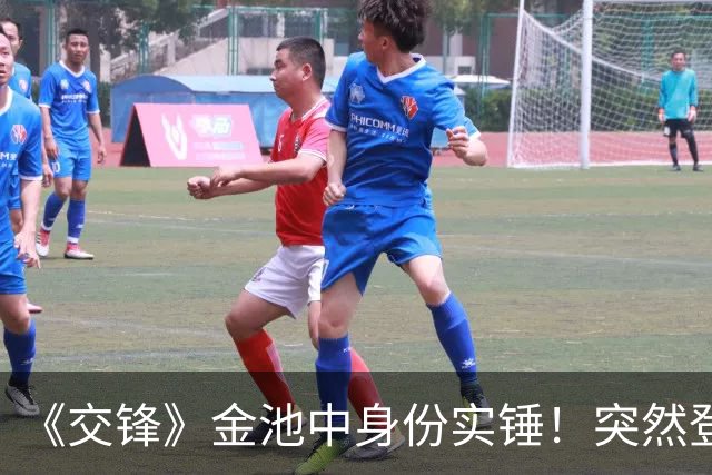 《交锋》金池中身份实锤！突然登场不是多余，伏笔早就埋下