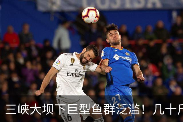 三峡大坝下巨型鱼群泛滥！几十斤鲢鳙到处都是，这现象是好是坏？