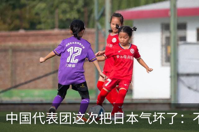 中国代表团这次把日本气坏了：不能接受中国进入日本的北方四岛！