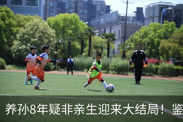 养孙8年疑非亲生迎来大结局！鉴定机构被罚，老人手握DNA依然败诉，评论区炸锅