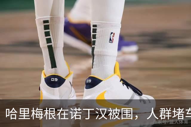 哈里梅根在诺丁汉被围，人群堵车惊动警察，查尔斯：是普通公民！