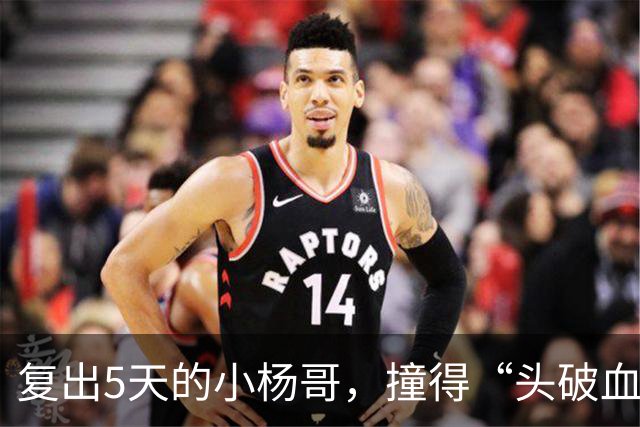复出5天的小杨哥，撞得“头破血流”