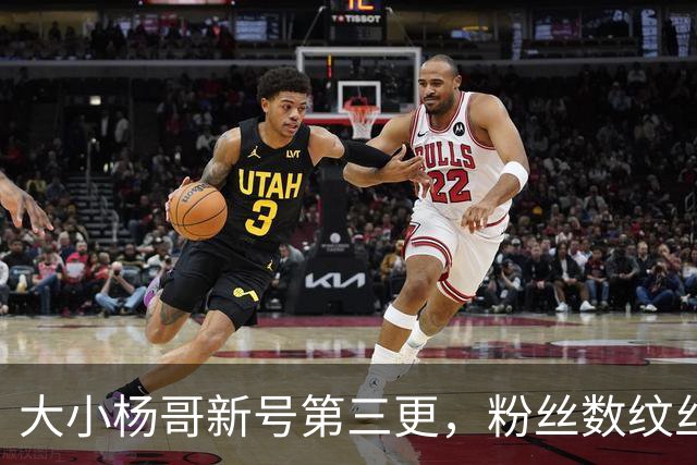 大小杨哥新号第三更，粉丝数纹丝不动