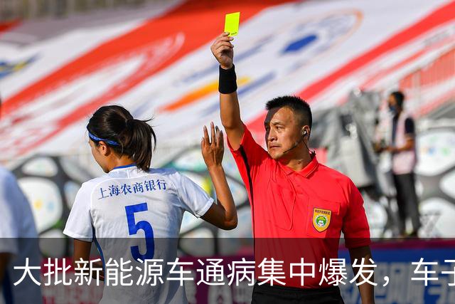 大批新能源车通病集中爆发，车子开着没毛病，电池却直接报废