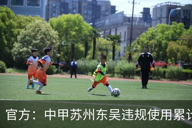 官方：中甲苏州东吴违规使用累计4黄球员，被判0-3负石家庄功夫