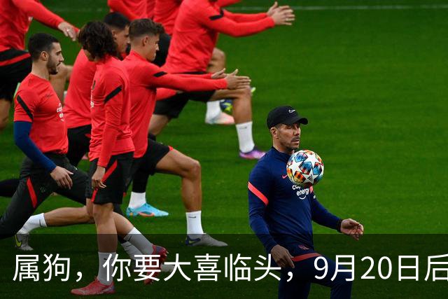 属狗，你要大喜临头，9月20日后，家里将发生4件大事，并非迷信