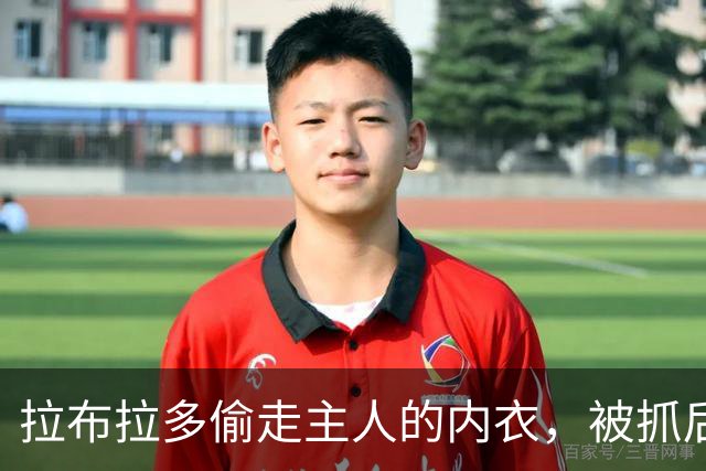 拉布拉多偷走主人的内衣，被抓后还死咬着不肯还，最后直接穿上赃物罚站……不过它好像还蛮得意？