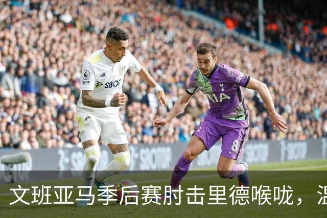 文班亚马季后赛肘击里德喉咙，温德霍斯特：你不能打一个人的喉咙