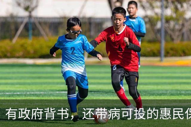 有政府背书，还带病可投的惠民保，正被迫为保险行业信任债买单？
