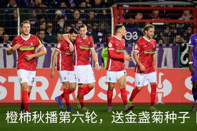 橙柿秋播第六轮，送金盏菊种子丨CBA新赛季启幕，请你看浙商证券男篮主场首秀