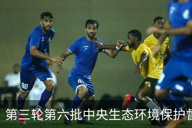 第三轮第六批中央生态环境保护督察完成督察反馈工作