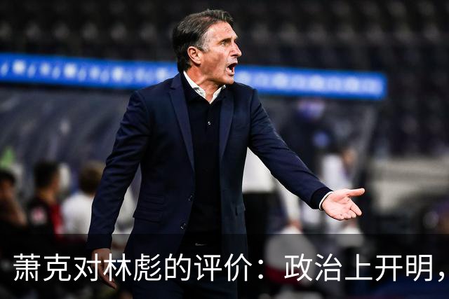 萧克对林彪的评价：政治上开明，但存在两个明显缺点！