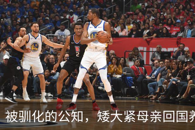 被驯化的公知，矮大紧母亲回国养老