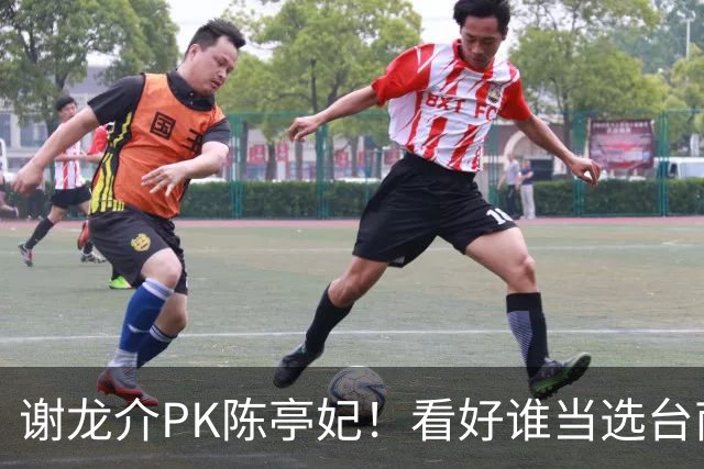 谢龙介PK陈亭妃！看好谁当选台南市长？网络投票结果超意外