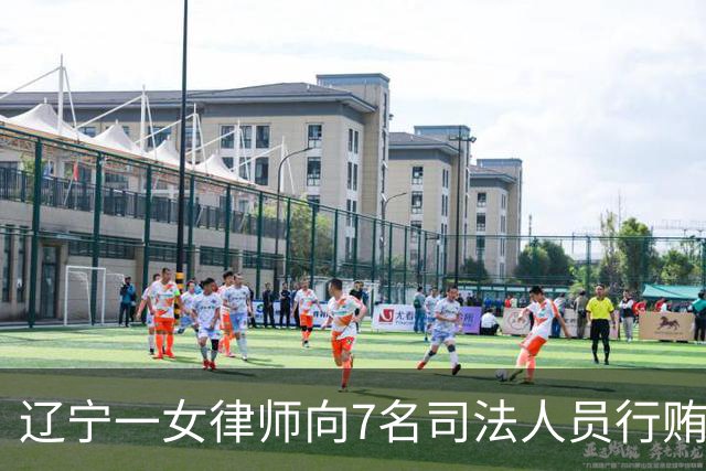 辽宁一女律师向7名司法人员行贿145万元，还曾受贿30万元，获刑四年半