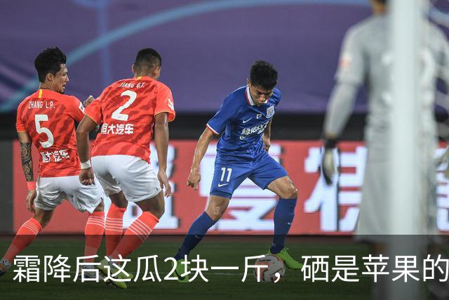 霜降后这瓜2块一斤，硒是苹果的14.5倍，几乎不打农药，很多人嫌它“长相怪”不懂吃