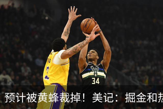 预计被黄蜂裁掉！美记：掘金和热火对瑞安·内姆哈德有一定兴趣
