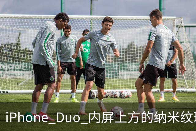 iPhone Duo 内屏上方的纳米纹理覆盖层可以拆卸并更换
